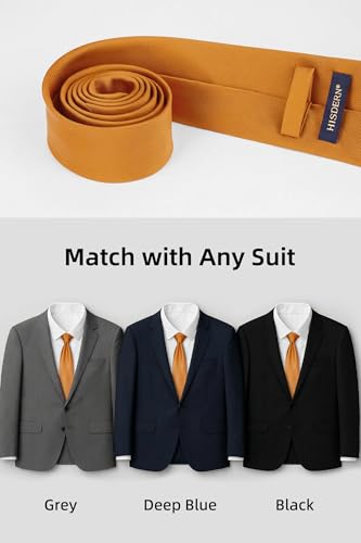 Image of HISDERN Mens Ties Solid Color Ties for Men Formal Necktie with Pocket Square Set Satin Silk Neck Tie Handkerchiefs Set
