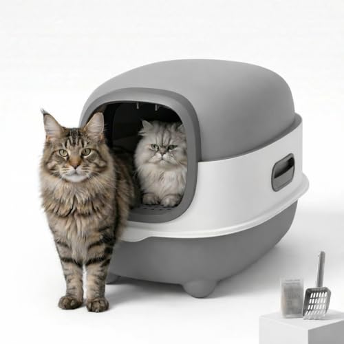 Arenero cerrado grande para gato con tapa y accesorios miniatura 1
