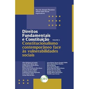 Capa do livro Direitos fundamentais e constituição: Constitucionalismo contemporâneo face às vulnerabilidades sociais – Vol. 06