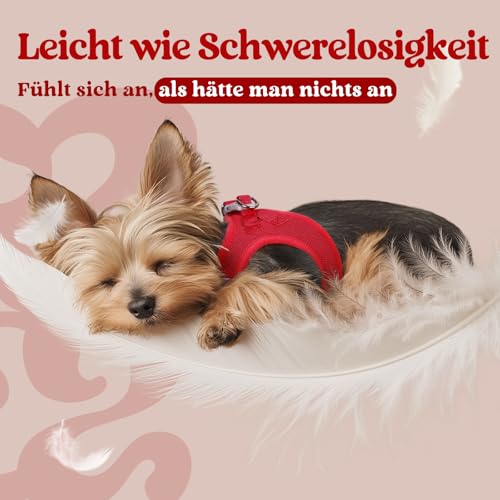 rabbitgoo Hundegeschirr Kleine Hunde, Step-in Welpengeschirr Weich Mesh für Spaziergänge, Atmungsaktives und Reflektierendes Brustgeschirr für Kleine und Mittelgroße Hunde, Rot, S
