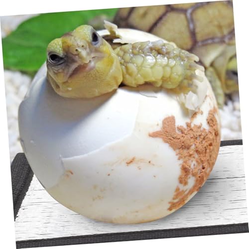 4 pads térmicos para reptiles con película reflectiva miniatura 5