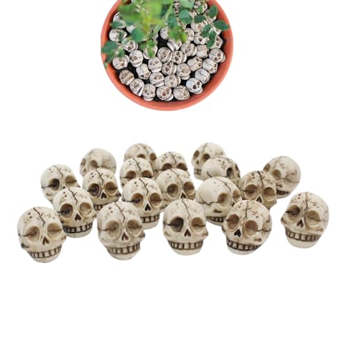 Decoración del cráneo - Juego de 20 esculturas de esqueleto, juguetes de bromas, manualidades, casa de miedo, cosplay, decoración de salón, maceta, estatua de piedra de cáscara duradera y proporciona Decoración del cráneo - Juego de 20 esculturas de esqueleto, juguetes de bromas, manualidades, casa de miedo, cosplay, decoración de salón, maceta, estatua de piedra de cáscara duradera y proporciona