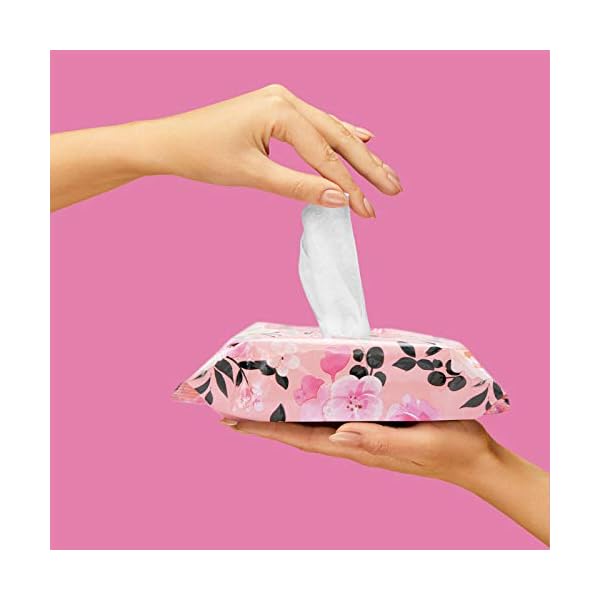 Beauty Concepts Facial Wipe Set- 4 Packs of Face Wipes, Makeup Removing Wipes with Vitamin C, Tea Tree, Rosehip, and Coconut, Sage Floral Package