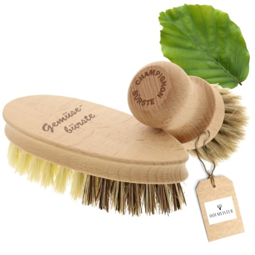 HOFMEISTER® - Juego de cepillos para hongos y vegetales para limpiar suavemente champiñones y verduras, de crin suave, fibra y unión, madera de haya