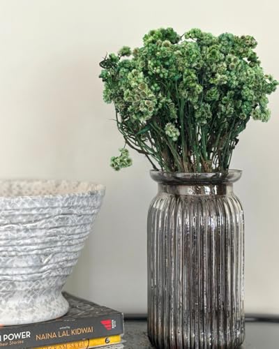 Image of Himalayan Daisy Dried Flowers | Natural Dried Blooms| 70 Grams | Naturally Preserved, Delicate & Everlasting | Perfect for Home Decor, Floral Arrangements, Bouquets & DIY Crafts(Green)