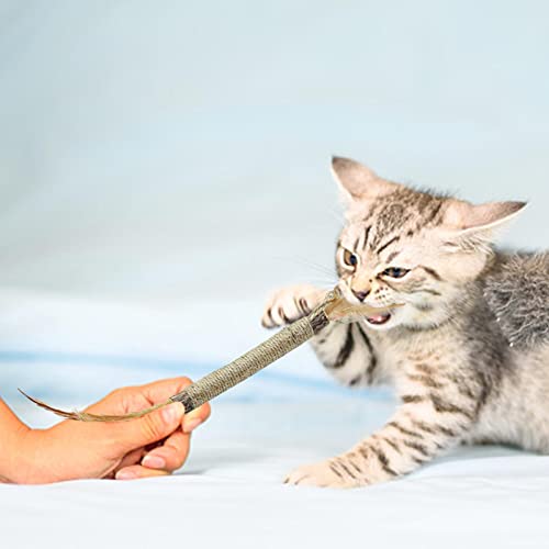 Brinquedos para mastigar dentição para gatos - Natural Polygonum Gatinho Mastigando Catnip Brinquedo