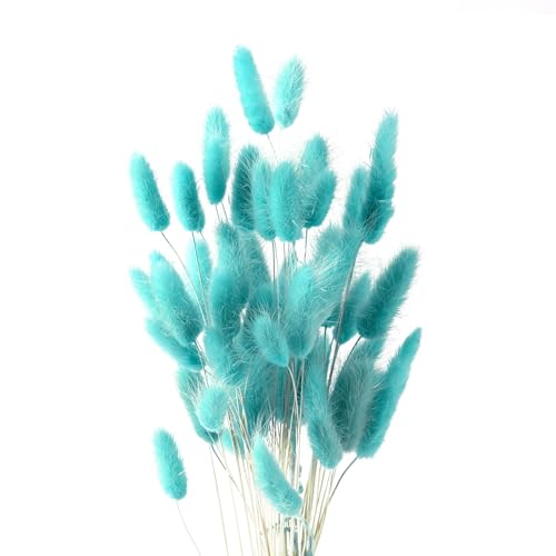 JKDHJK Ramo de flores secas de hierba de las pampas, sin olor, nunca se marchitan, decoración bohemia, accesorios para el hogar (azul claro)