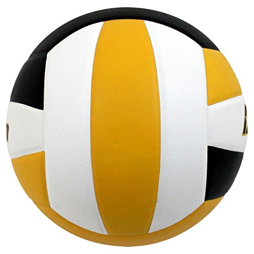 Image of Baden | Perfection | Premium Leather | Indoor Official Game Volleyball | 13U to College | Official Size + Weight | NFHS + AVCA Approved