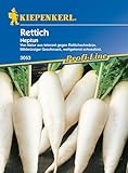 schwarzer rettich rezepte suppe  Kiepenkerl 3053 Rettich Neptun (Rettichsamen)