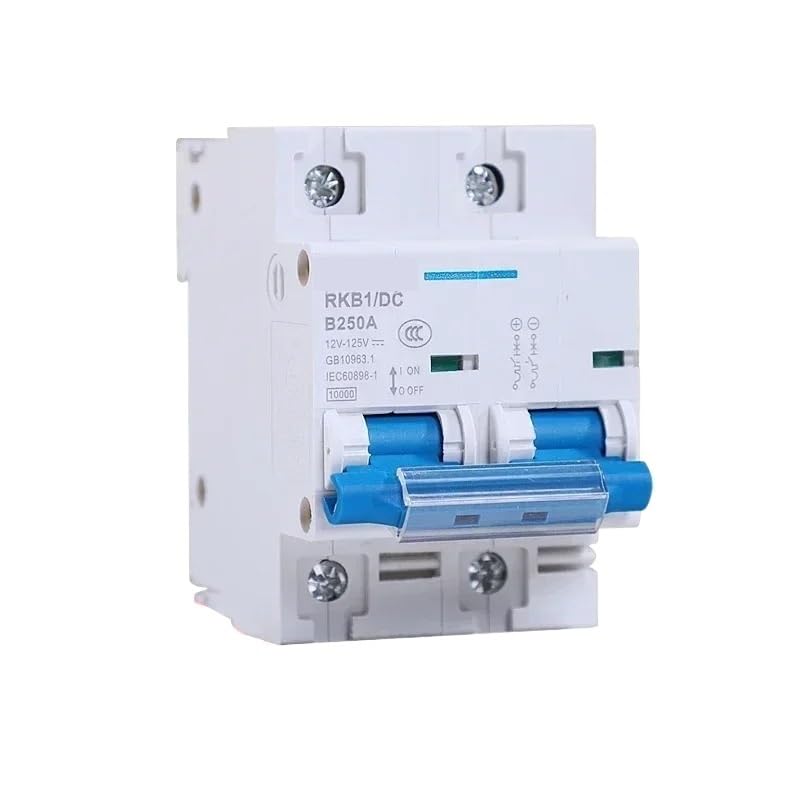 2-biegunowy wyłącznik obwodu stałego 12-125 V 1-biegunowy automatyczny wyłącznik automatyczny do pojazdów elektrycznych, ochrona akumulatora 80A/100A/125A/200A/250A (2P, 250A)
