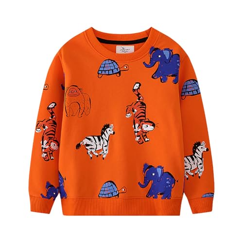 Boys Sweatshirts Casual Sweatshirts Cotton Sweatshirts Long Sleeve T-shirts Crew Neck Cartoon Tops for Boys-204
