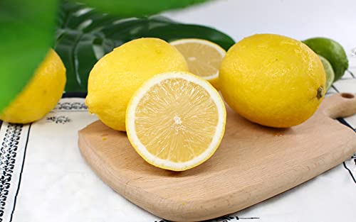 30Pcs Lemon Tree Seeds For Planting, Non-Gmo Heirloom And Organic, High Survival Rate Fruit For Home Garden (Lemon Seeds) #TOP2