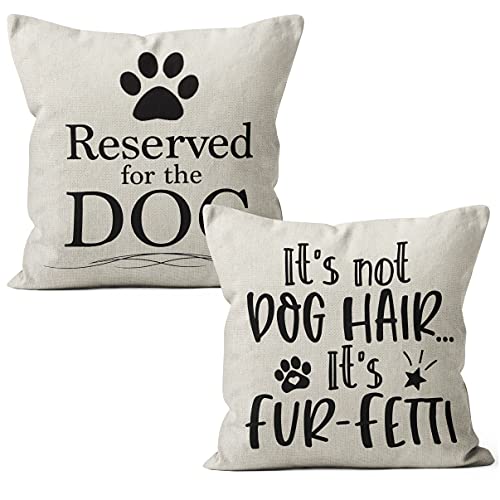 Top 10 Best Reserved For The Dog Pillow in 2022 14 M-Qizi It's Not Dog Hair It's Fur Fetti Decorative Throw ...