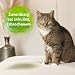 Bactador Enzymreiniger Katzenurin Spray 500ml - Katzenurin Entferner, Mikrobiologischer Geruchsneutralisierer, Katzentoiletten Geruchsentferner, Porentiefe Reinigung in der Tierumgebung