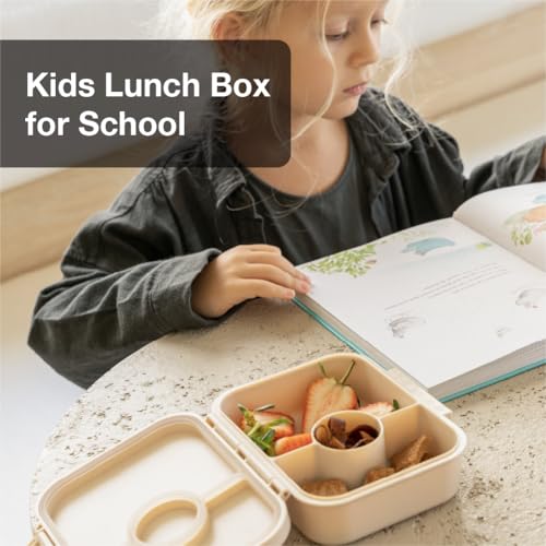 Snackbox Lunch Box - Green