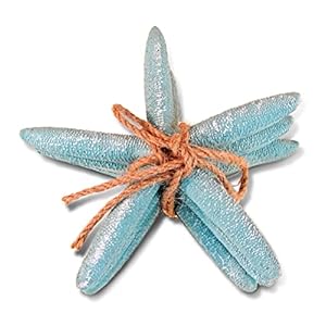 Puzzled Nautical Turquoise Starfish Set - Decorative Beach Style Tabletop Centerpiece, Realistic Resin Sea Coral Reef Starfishes for Ocean Themed Home Accent Decor - 3 Pieces Puzzled Nautical Turquoise Starfish Set Decorative Beach Style Tabletop Centerpiece Realistic Resin Sea Coral Reef Starfishes for Ocean Themed Home Accent Decor 3 Pieces