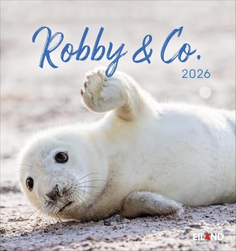 Robby & Co. Postkartenkalender 2026: Robben und Seehunde in natürlicher Umgebung in einem kleinen Kalender. Postkarten-Fotokalender für Tierfreunde...