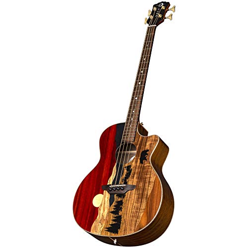 Luna Vista Bear Acoustic/Electric Bass with Case by LUNA - Used condition - Image 3