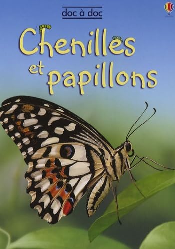 CHENILLES ET PAPILLONS [French] 0746082096 Book Cover