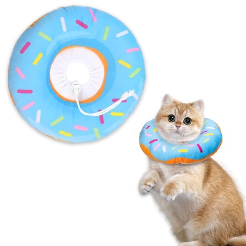 10 Best Cone For Cats
