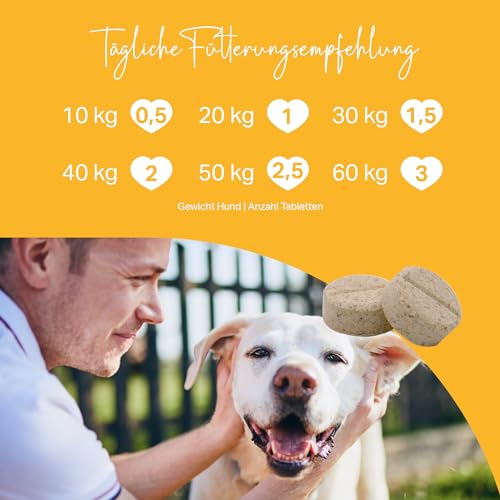 MEDIDOG Multi Vitamin B Komplex Tabletten – ca. 260 Tabletten – hochdosiert, mit VIT. B1, B2, B3, B6, B12, VIT. A, VIT. E, mit Casein, Bierhefe und Kurkuma