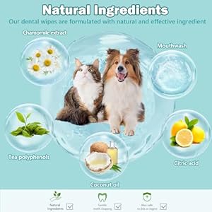 Teeth-Cleaning-Finger-Wipes-for-Dogs-Cats-Reduces-Plaque-Freshens-Breath-Teeth-Care-Wipes-Easy-to-Use-Disposable-Gentle-Cleaning-Gum-Care-Pet-Wipes-No-Rinse-Dog-Finger-Wipes50-Counts - Cucciolini Doodles   Teeth-Cleaning-Finger-Wipes-for-Dogs-Cats-Reduces-Plaque-Freshens-Breath-Teeth-Care-Wipes-Easy-to-Use-Disposable-Gentle-Cleaning-Gum-Care-Pet-Wipes-No-Rinse-Dog-Finger-Wipes50-Counts
