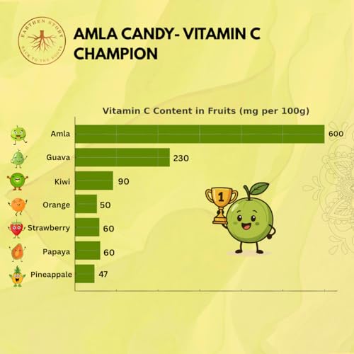 Image of Earthen Story Organic Amla Candy Chatpata 400g (2 x 200g) | Dry Gooseberry Rich in Vitamin C | Immunity Booster | Healthy Snack & Mouth Freshener | No Preservatives