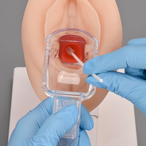 Image of Gynecological Examination Model, Vaginal Training Model for Science Teaching, Anatomical Model of Pelvic Health for Medical Students