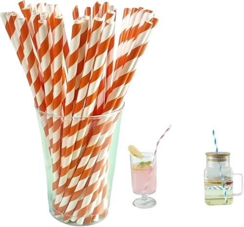 y[p[Xg [ 100{ XgCv  X g[ ĝ  Jt O X g[ qI  W[X JNe X[W[ p[eB[ a NX}X p[eB[ObY ƒp Ɩp psGXg[ (B,300{