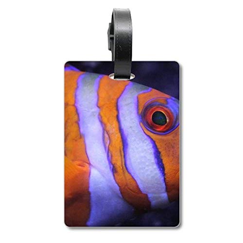 Étiquette pour valise poissons tropicaux idéale pour vos vacances au soleil