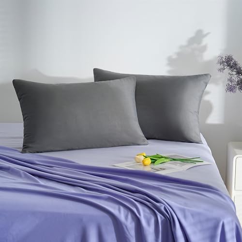 AYSW 18 Couleurs Lot 2 Taie d'oreiller 30x50 cm Gris Housse Oreiller Coussin pour Canapé Lit Fermeture Éclair Anti-Acariens Hypoallergénique Protège Oreiller Zip Microfibre