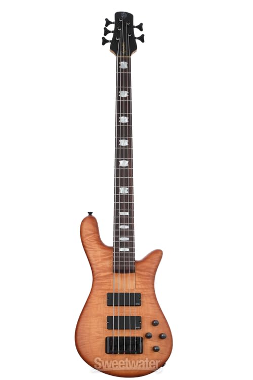 Amazon.com: Spector Euro 5 LX Bolt-On Electric Bass Guitar