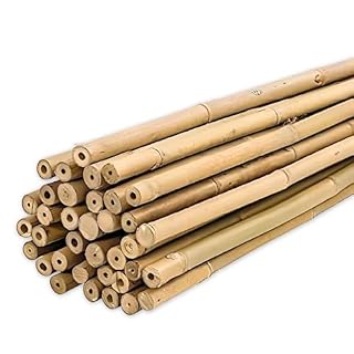 PLANTAWA tuteurs bambou verts 90 cm, lot de 25
