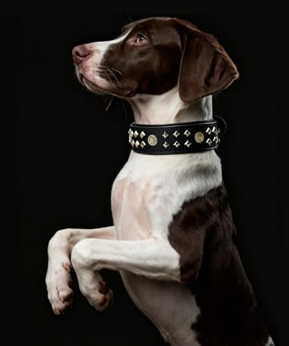 EliteGuard Hundehalsband Leder, 5,6 cm Breit, Handgefertigt Mit Nieten Und Edelstahlschnalle, Für Den Täglichen Gebrauch Bei Großen Hunden, Schwarz M