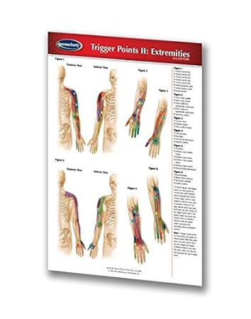Permacharts - Trigger Points II Extremities Pocket Chart - -