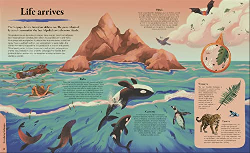 Galapagos: A Unique World of Natural Wonders