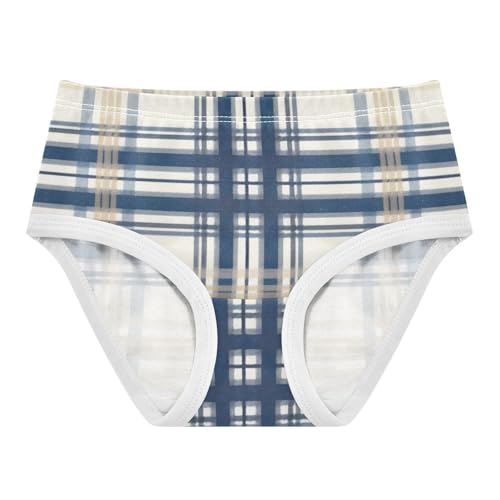 Unique Plaid Motif Image Girls' Underwear Breathable Material Comfort Underwear for Kid in Sizes 2T,3T, 4T, 5T, 6Y and 8Y