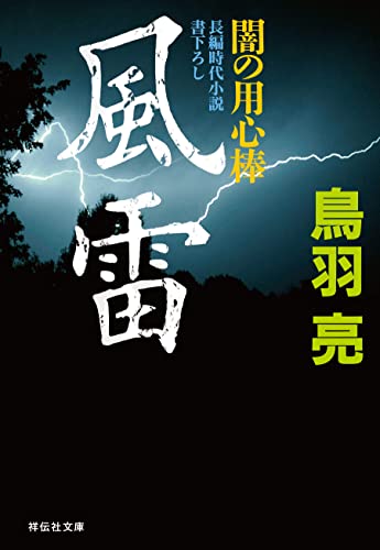 風雷 闇の用心棒 (祥伝社文庫)