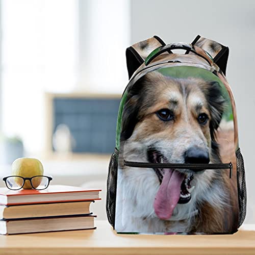 Sac à dos décontracté imprimé canin coloré unique pour femmes - 6