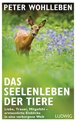 Das Seelenleben der Tiere: Liebe, Trauer, Mitgefühl - erstaunliche Einblicke in eine verborgene Wel Das Seelenleben der Tiere: Liebe, Trauer, Mitgefühl - erstaunliche Einblicke in eine verborgene Wel