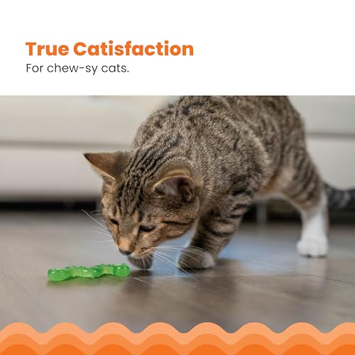 Catstages Orkakat Wiggle Worm - Katzenspielzeug mit Katzenminze - zum Kauen & für die Zahnpflege