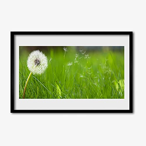 Affiche encadrée 60x40 cm plante d'herbe à pissenlit avec cadre noir en MDF pour salon