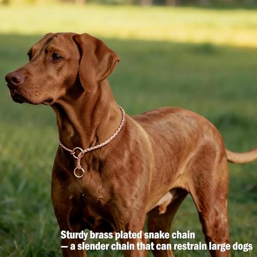 Image of Heavy Duty Choke Swivel Metal Dog Chain - Durable Training Collar with Strong Links & 360 Swivel for Medium & Large Dogs (Snake Chain 49cm /4 MM - Silver)