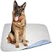 2 Pack - 34 x 36 - Large Premium Heavyweight Waterproof Reusable Pet Mat / Quilted Washable Large Dog / Puppy Training Travel Pee Pads (Blue)