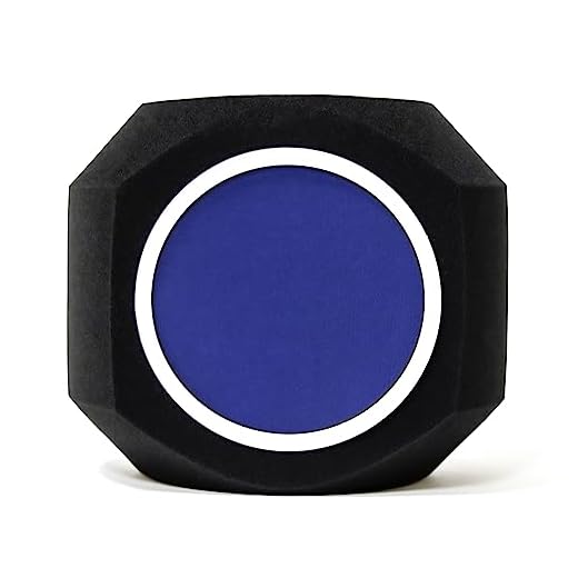 Trademark Innovations Microphone Shield Microphone Filter Isolation Shield for Recording Music
