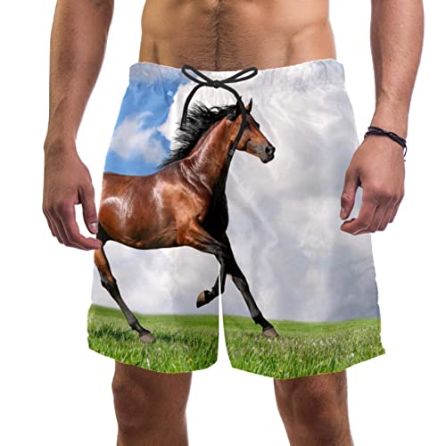 Maillot de bain homme short de plage imprimé cheval pour l'été