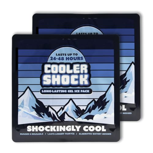 Cooler Shock Reusable Prefilled Ice Packs for Coolers & Lunch Boxes - 48 Hours Long Lasting Cold Freezer Packs for Lunchbox, Non-Toxic Gel Ice Pack for Camping, Lunch Bags, Road Trips, 2 Pack(10