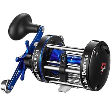 best inshore baitcaster