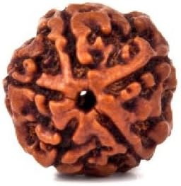 Divine Miracles Natural Rudraksha Natural Five Face (Panch Mukhi) Rudraksha ( Brown )