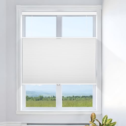 Grandekor Top Down Bottom Up Cellular Shades 46x48